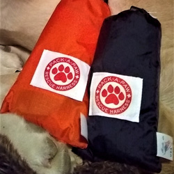 Pack-A-Paw black and orange